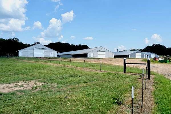40 Acres of Agricultural Land with Home for Sale in Lena, Mississippi