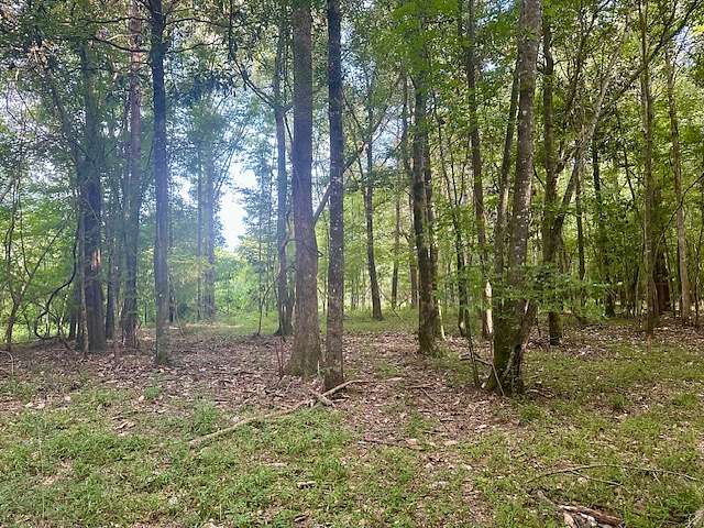 86 Acres of Land for Sale in Luverne, Alabama