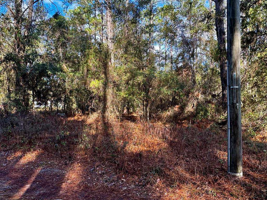 0.09 Acres of Land for Sale in Old Town, Florida