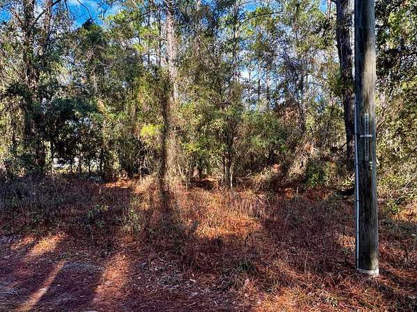 0.09 Acres of Land for Sale in Old Town, Florida