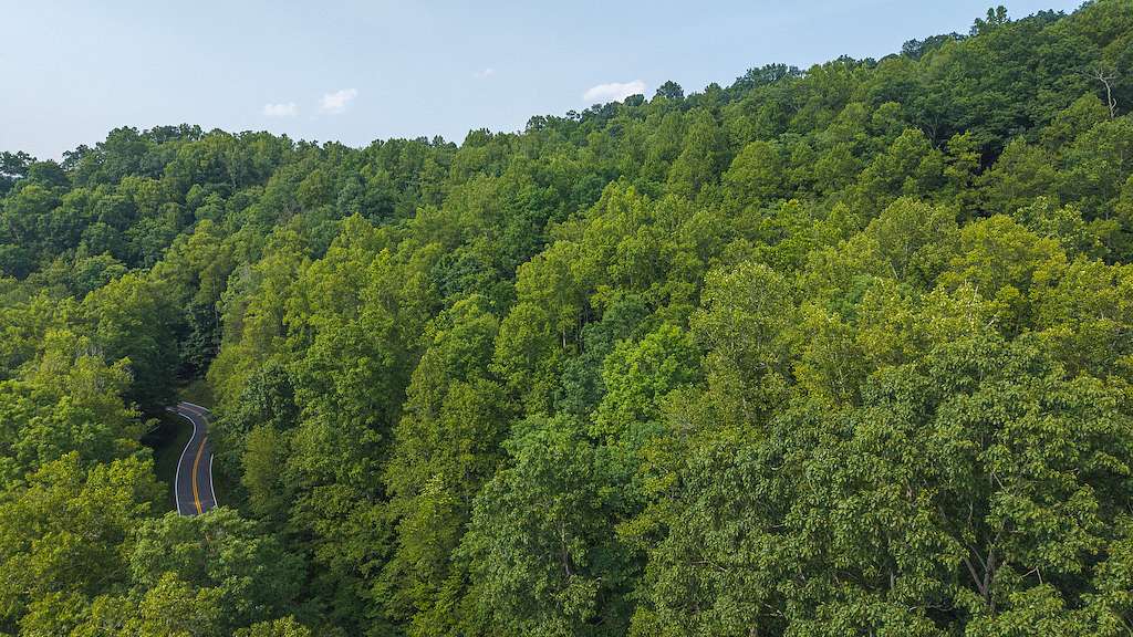 22.1 Acres of Recreational Land & Farm for Sale in Moravian Falls, North Carolina