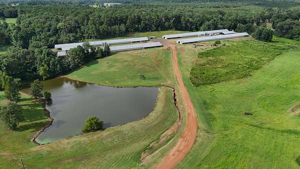 92 Acres of Agricultural Land with Home for Sale in Athens, Louisiana