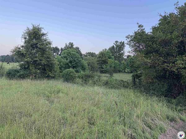 13.6 Acres of Land for Sale in Texarkana, Arkansas