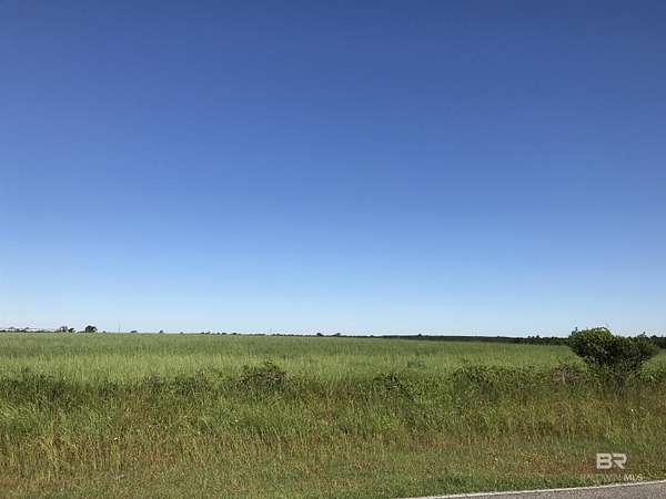 12.3 Acres of Land for Sale in Elberta, Alabama