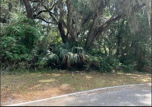 0.34 Acres of Residential Land for Sale in St. Marys, Georgia