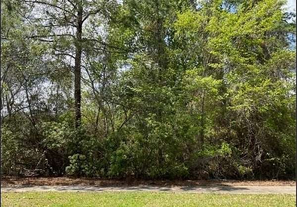 0.17 Acres of Residential Land for Sale in St. Marys, Georgia