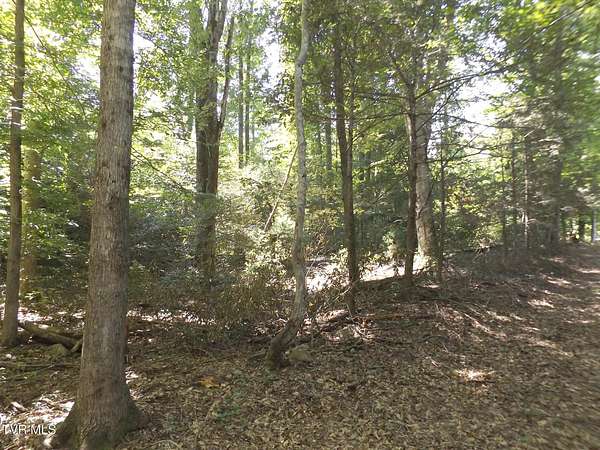 3 76 Acres of Residential Land - Elizabethton Tn 144792407