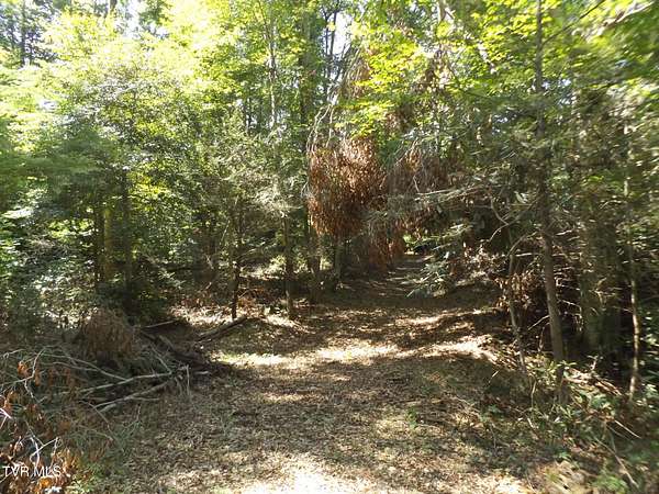 3 76 Acres of Residential Land - Elizabethton Tn 144792408