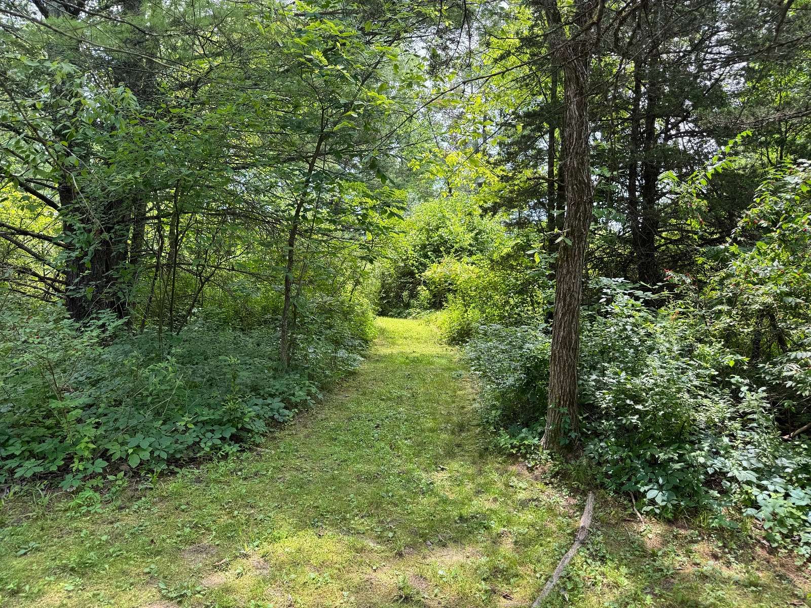 0.49 Acres of Residential Land for Sale in Athens, New York