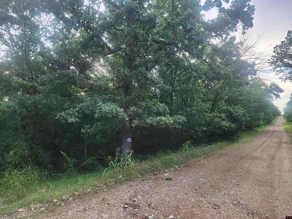 11.8 Acres of Land for Sale in Diamond City, Arkansas