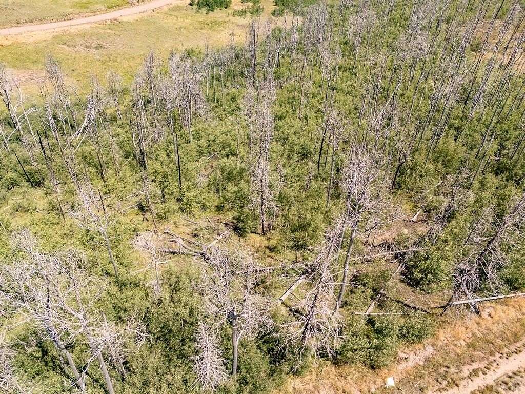 1.7 Acres of Land for Sale in Fort Garland, Colorado