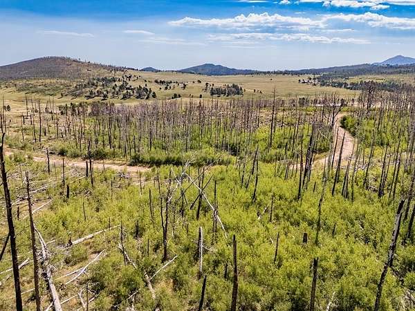 1.6 Acres of Land for Sale in Fort Garland, Colorado