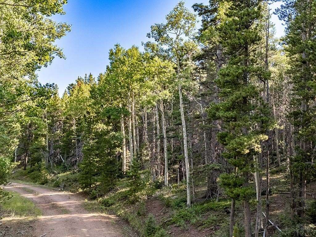 2 Acres of Land for Sale in Fort Garland, Colorado