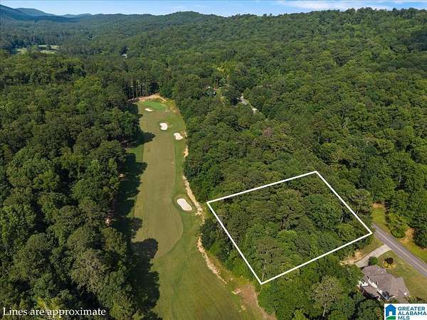 0.8 Acres of Residential Land for Sale in Oneonta, Alabama