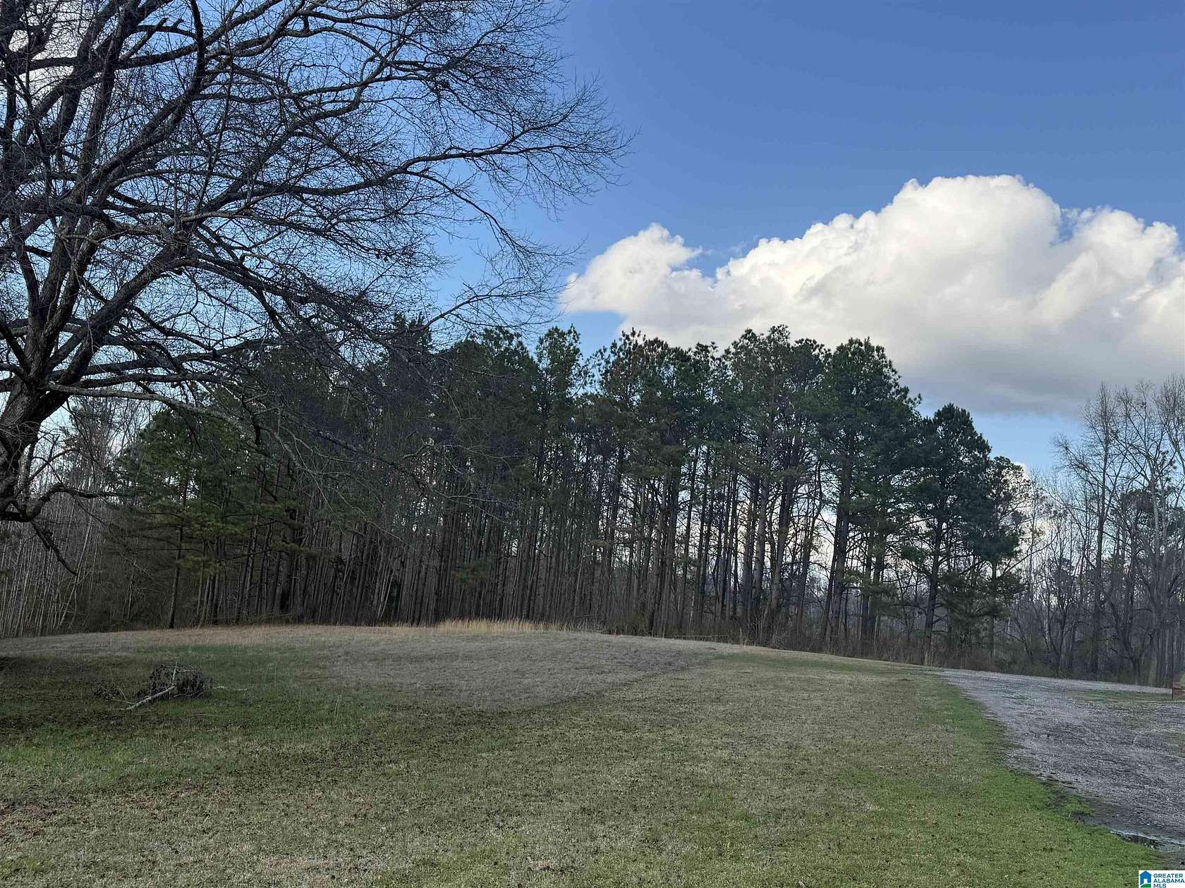 6.32 Acres of Land for Sale in Clanton, Alabama