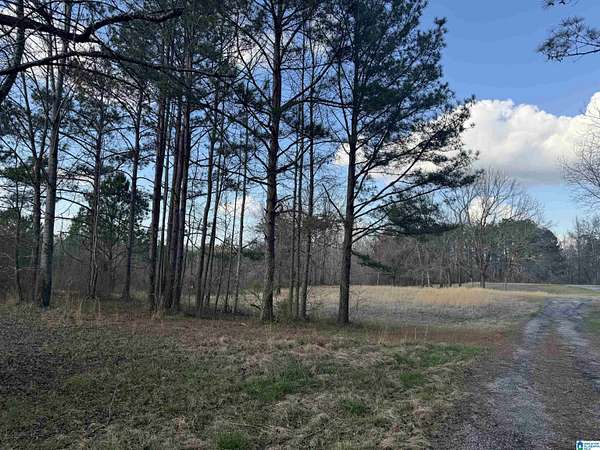 6.32 Acres of Land for Sale in Clanton, Alabama