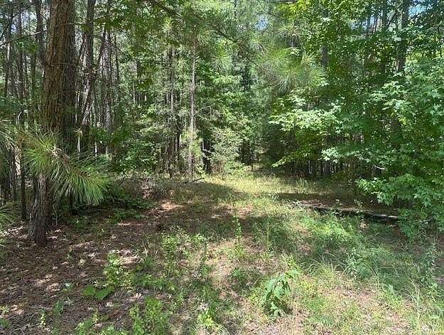 1 Acre of Residential Land for Sale in Eatonton, Georgia