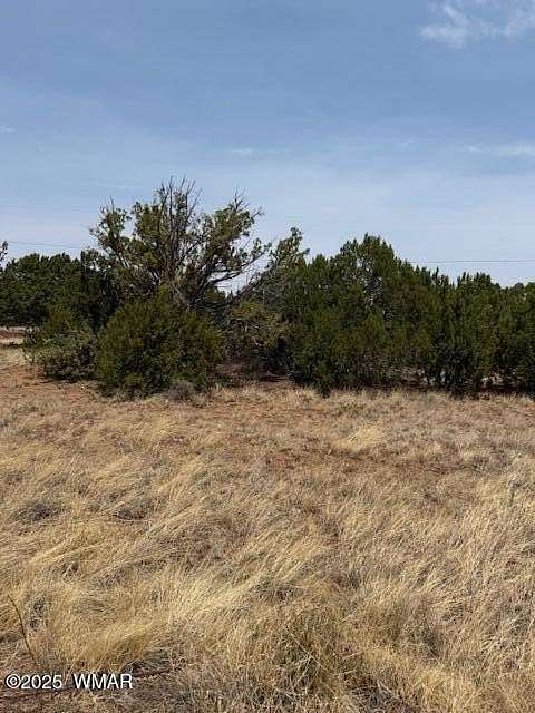 0.2 Acres of Residential Land for Sale in Show Low, Arizona