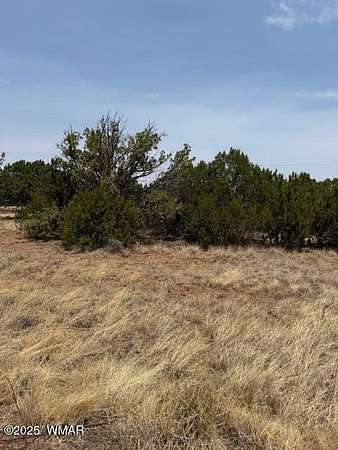 0.2 Acres of Residential Land for Sale in Show Low, Arizona