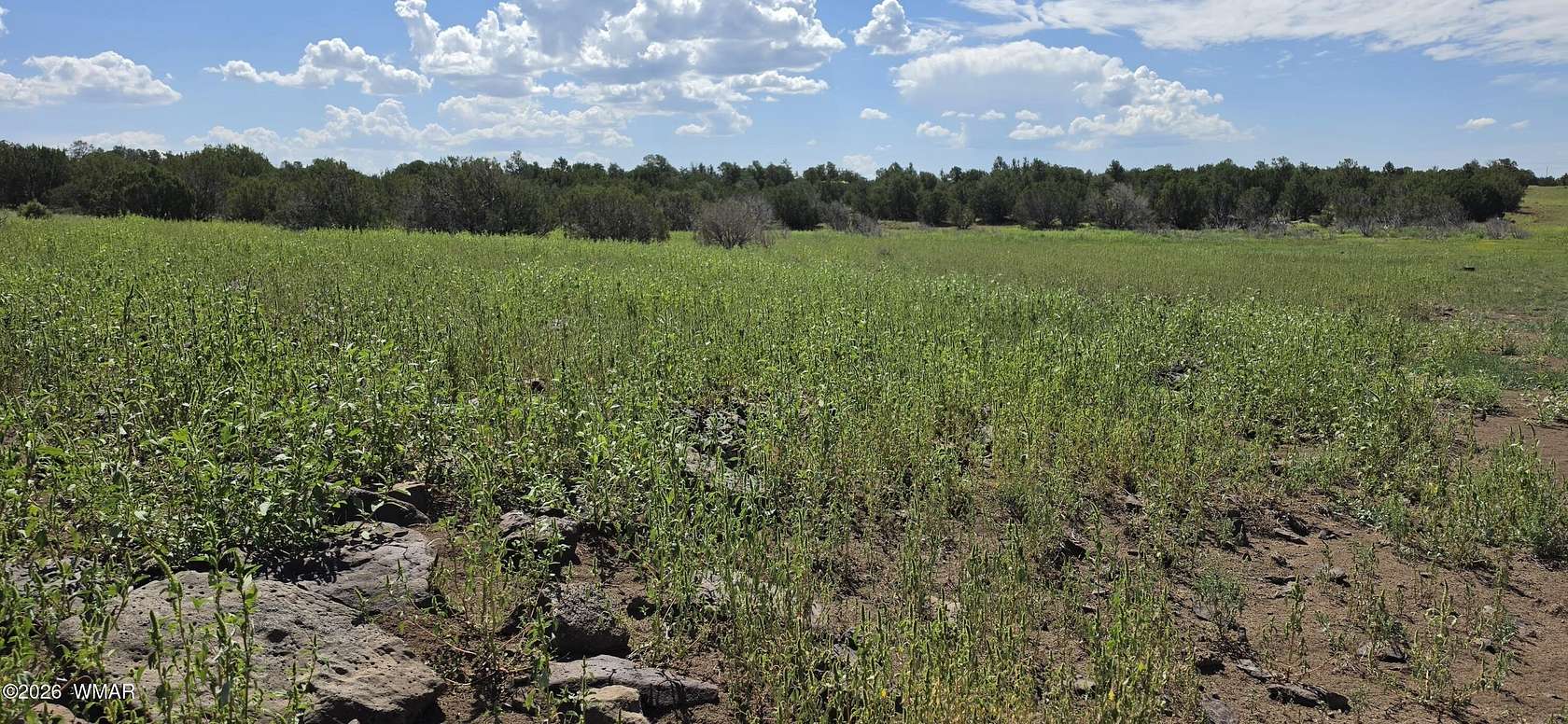 3.72 Acres of Residential Land for Sale in Concho, Arizona