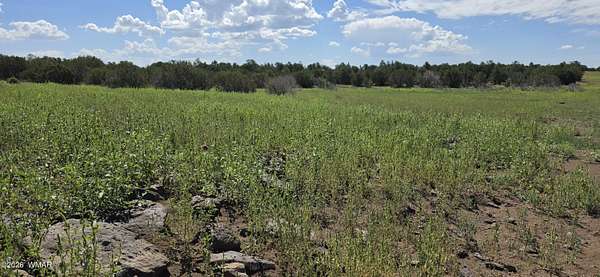 3.72 Acres of Residential Land for Sale in Concho, Arizona