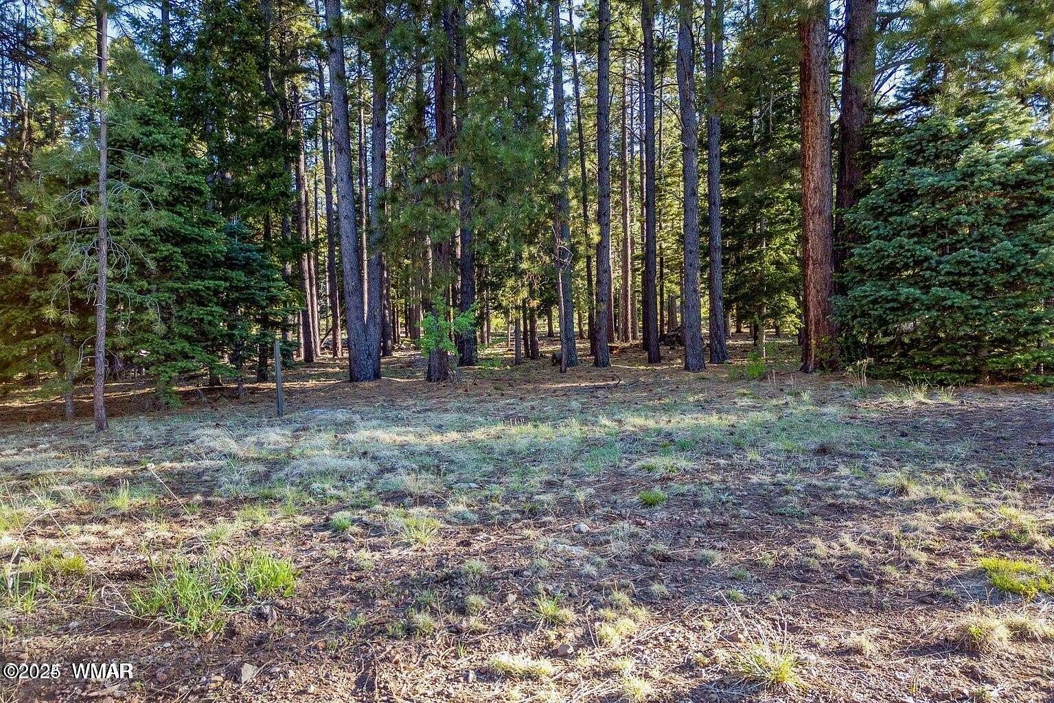 1 Acre of Residential Land for Sale in Greer, Arizona