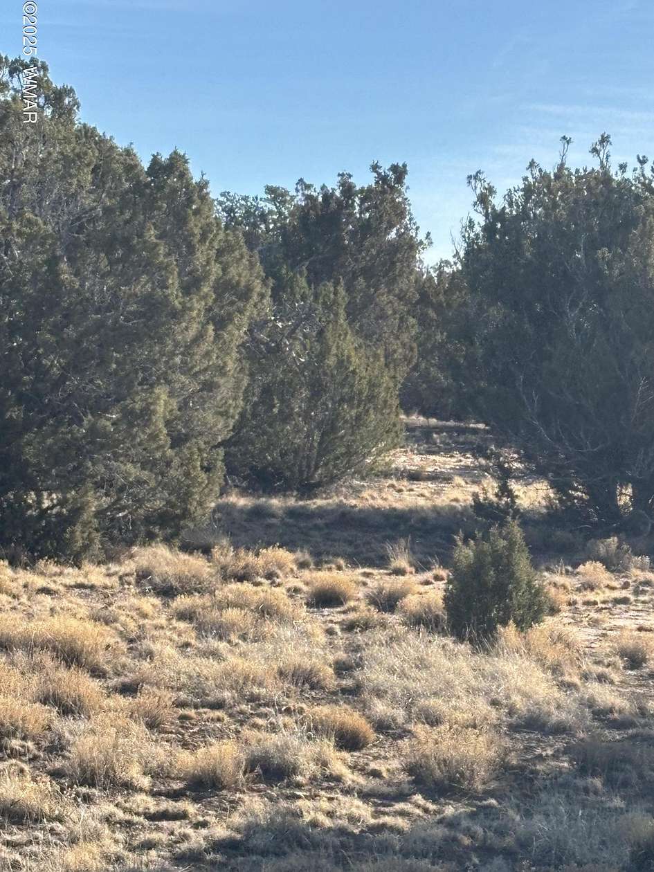 1.12 Acres of Residential Land for Sale in Concho, Arizona