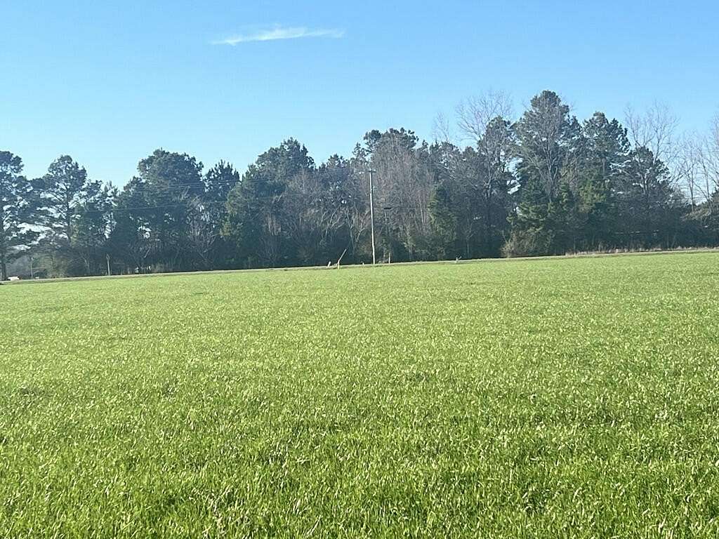 5 Acres of Land for Sale in Petal, Mississippi