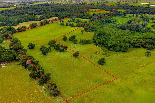 55.3 Acres of Recreational Land for Sale in Palestine, Texas