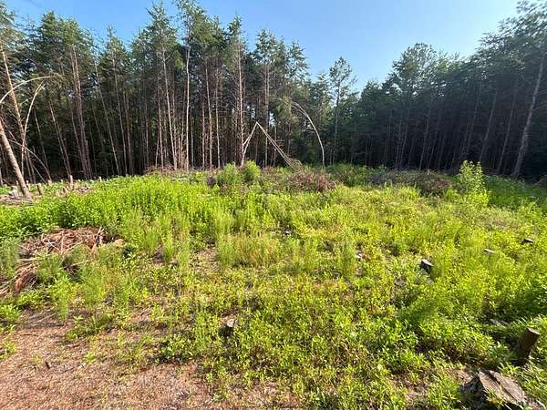 19.8 Acres of Land for Sale in Nathalie, Virginia