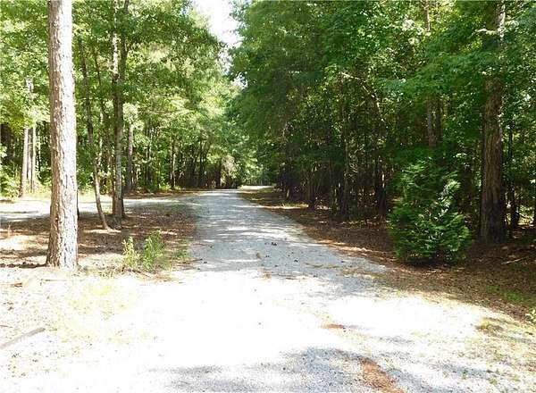 24.3 Acres of Improved Mixed-Use Land for Sale in Opelika, Alabama