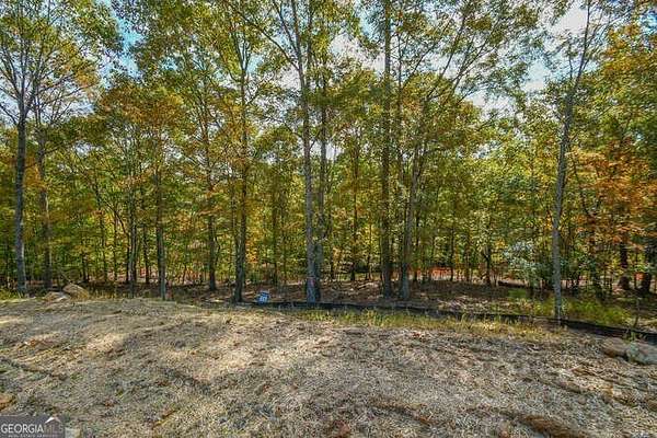 1 Acre of Residential Land for Sale in Dacula, Georgia