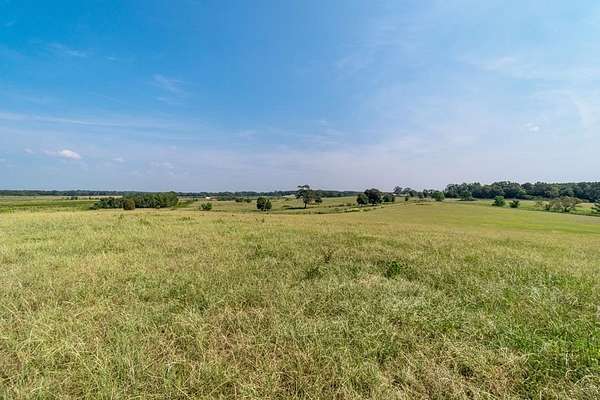 49 Acres of Land for Sale in Poplarville, Mississippi