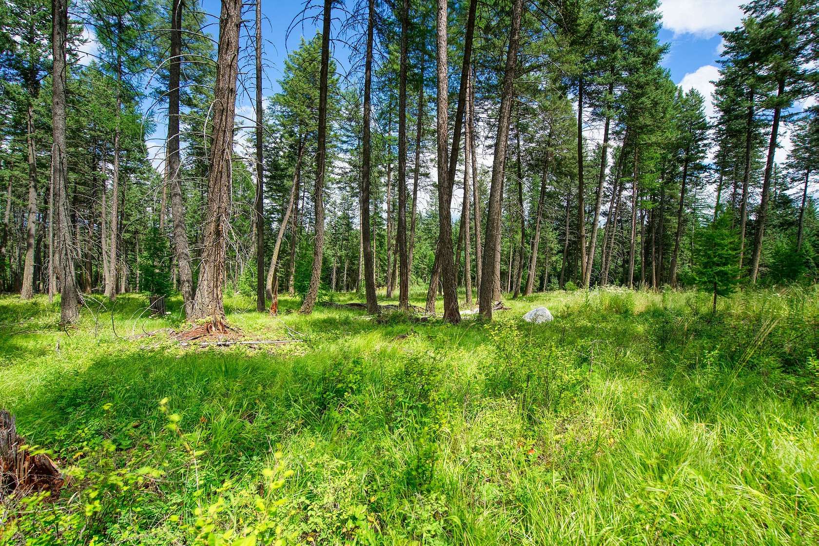 2 Acres of Residential Land for Sale in Whitefish, Montana