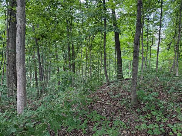 1.5 Acres of Land for Sale in Poland, Indiana