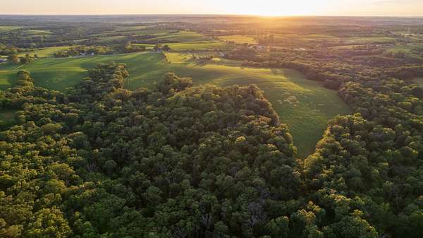 65 Acres of Land for Auction in Albia, Iowa