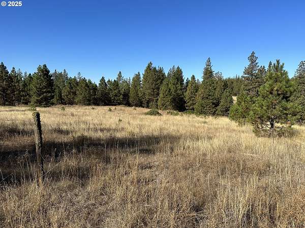 649 Acres of Recreational Land for Sale in Goldendale, Washington