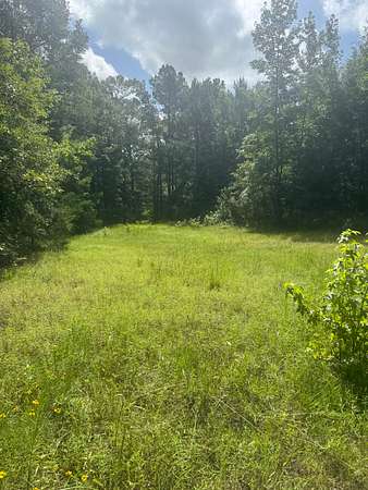 75 Acres of Land for Sale in Rusk, Texas
