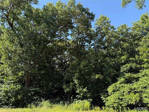 3 Acres of Residential Land for Sale in Hawk Point, Missouri