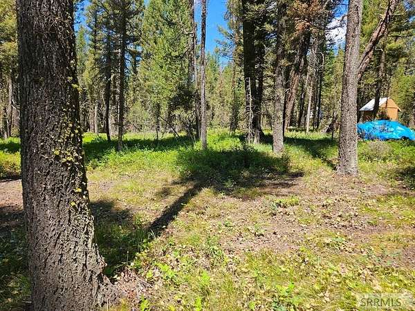 1 Acre of Residential Land for Sale in Island Park, Idaho