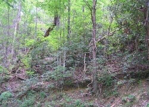 0.19 Acres of Residential Land for Sale in Gatlinburg, Tennessee
