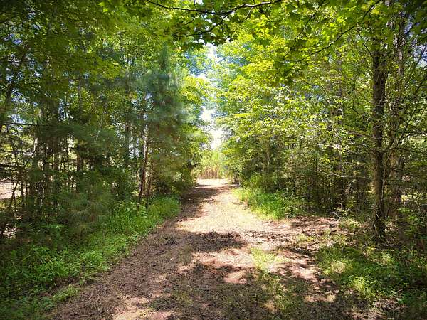 4.25 Acres of Residential Land for Sale in Morrison, Tennessee