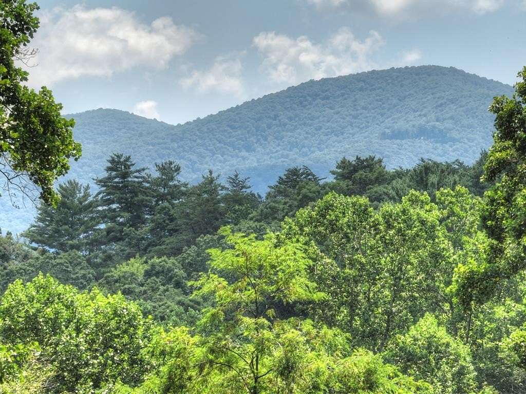 3.64 Acres of Land for Sale in Ellijay, Georgia