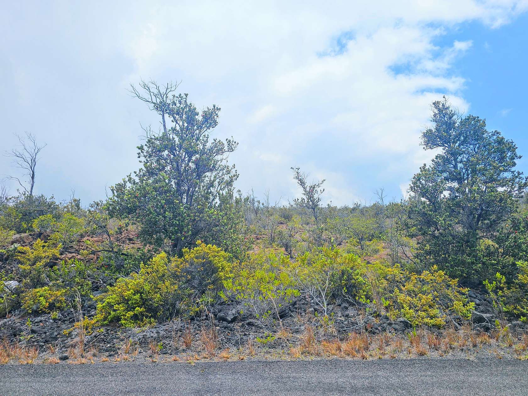 1 Acre of Residential Land for - Hawaiian Ocean View Hi 144837334