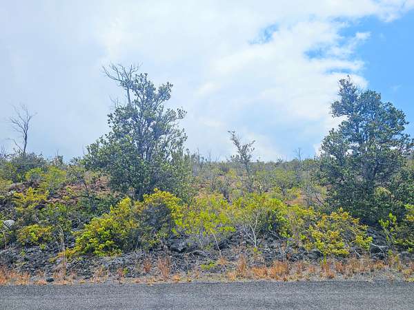 1 Acre of Residential Land for Sale in Hawaiian Ocean View, Hawaii