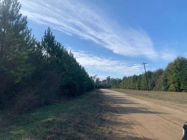 42 Acres of Recreational Land for Sale in Livingston, Texas