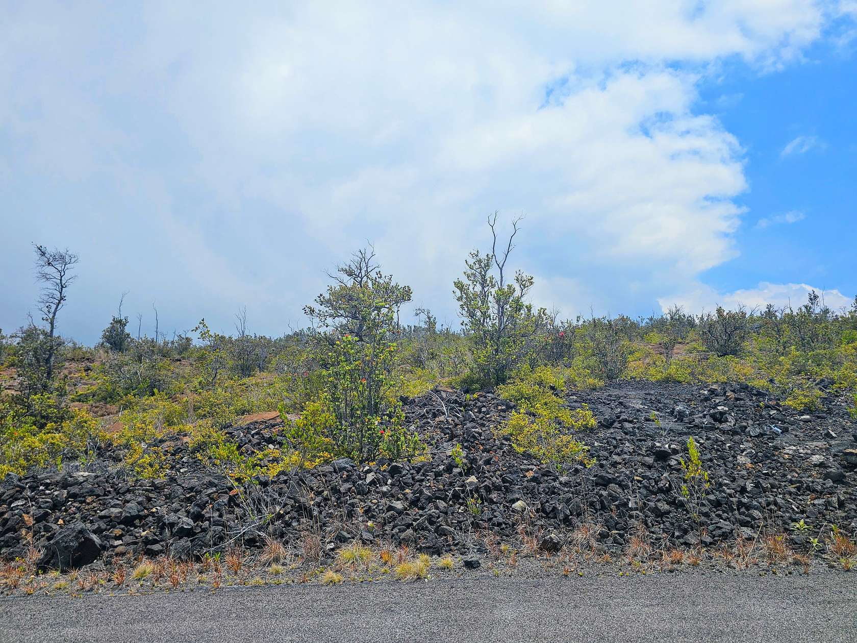 1 Acre of Residential Land for Sale in Hawaiian Ocean View, Hawaii