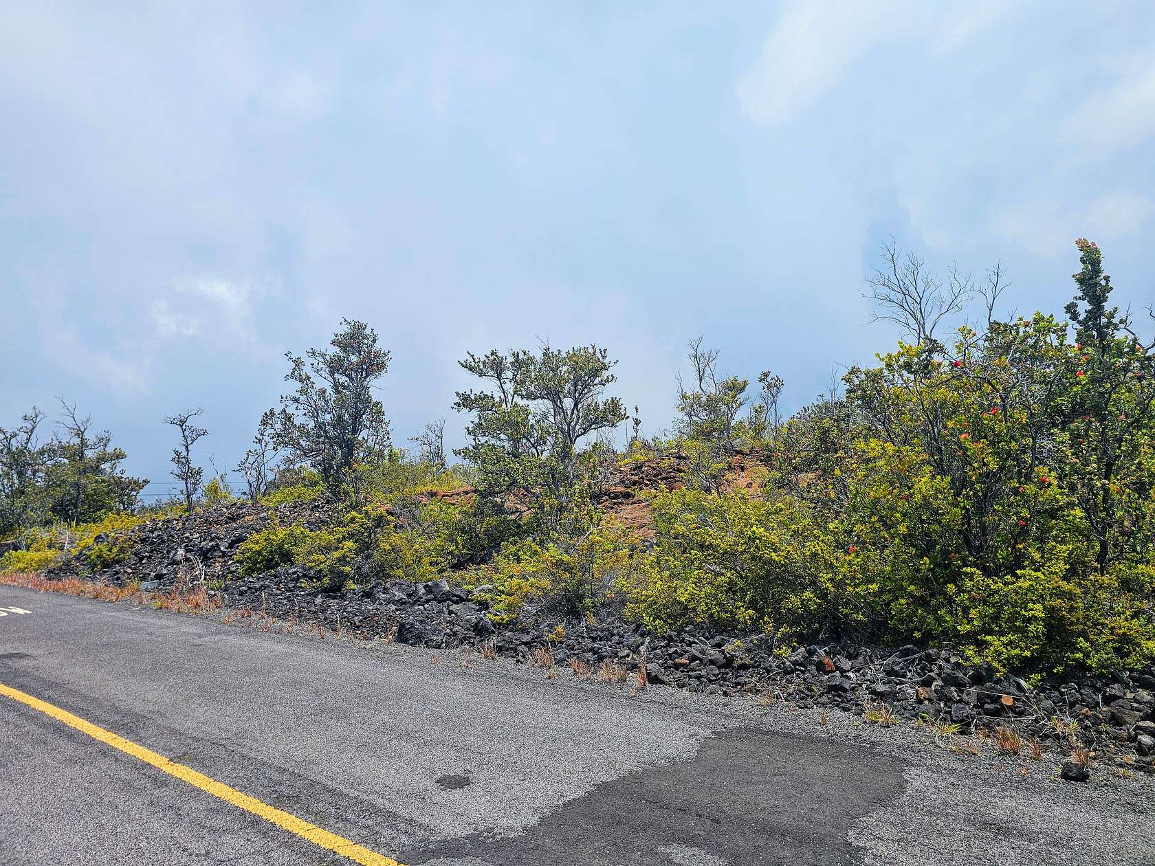 1 Acre of Residential Land for Sale in Hawaiian Ocean View, Hawaii