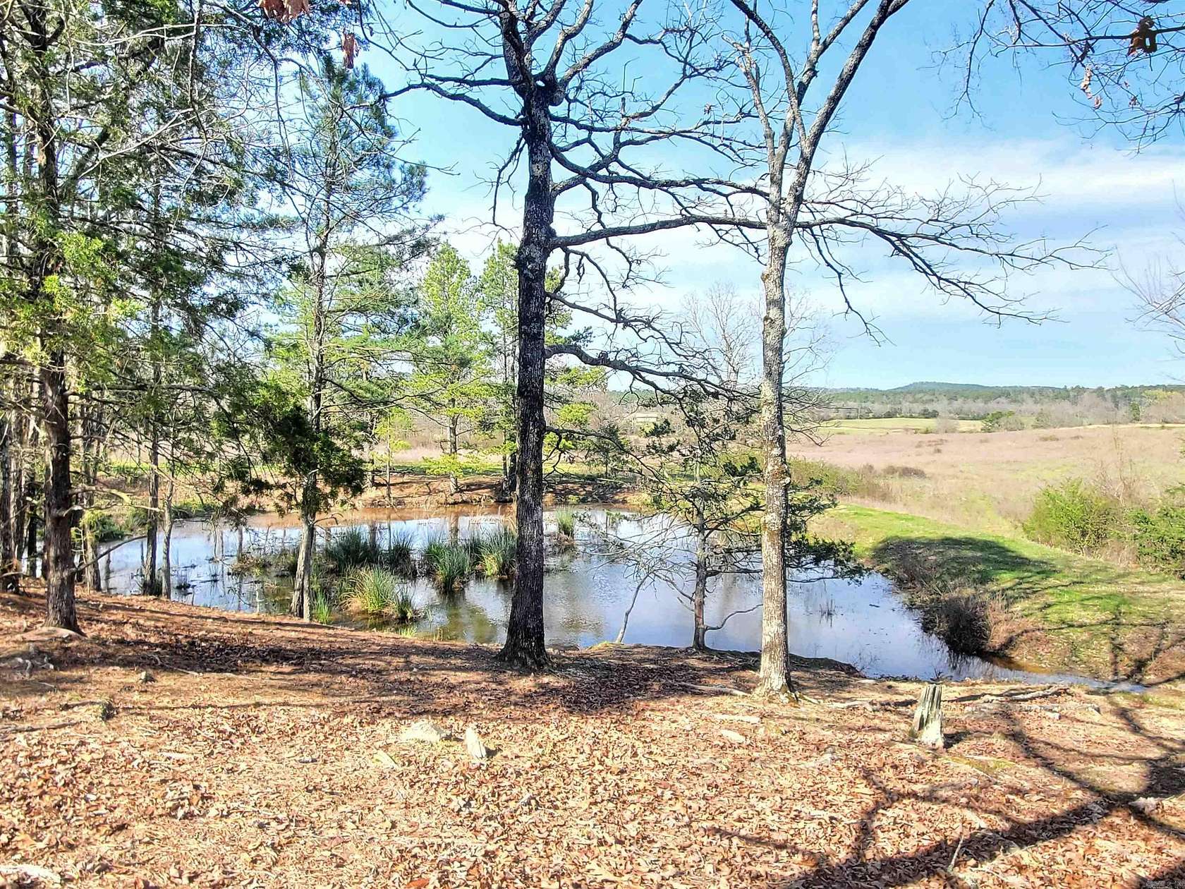 100 Acres of Land for Sale in Pencil Bluff, Arkansas