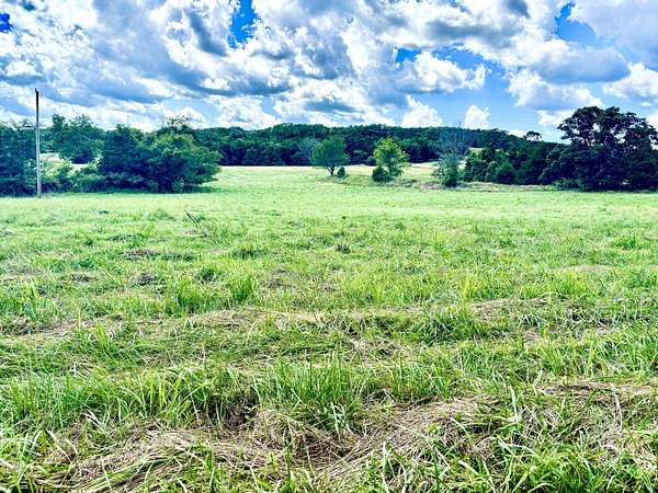 15.3 Acres of Recreational Land & Farm for Sale in Theodosia, Missouri